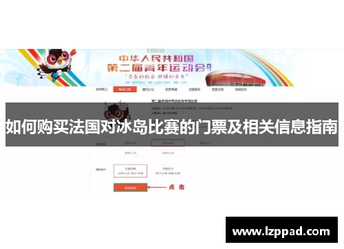 如何购买法国对冰岛比赛的门票及相关信息指南